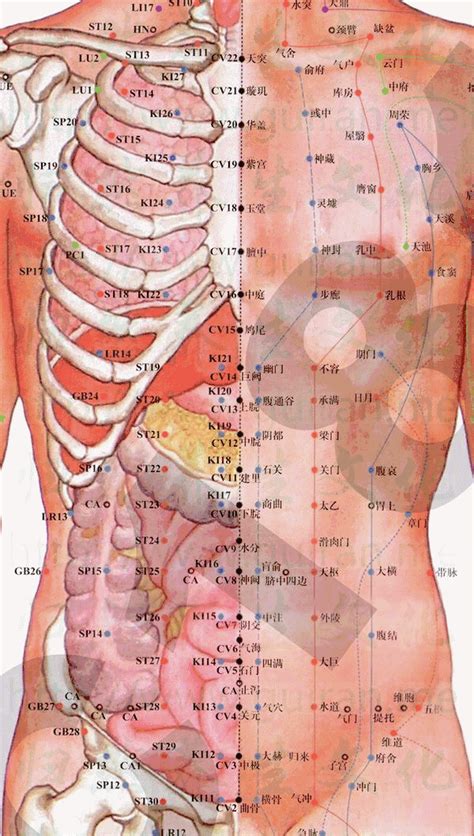 地經穴|人體穴位大全——地機穴：月經不調、痛經、乳腺炎等。